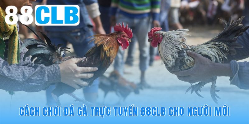 Hướng dẫn tham gia đặt cược nhanh gọn với quy trình ba bước