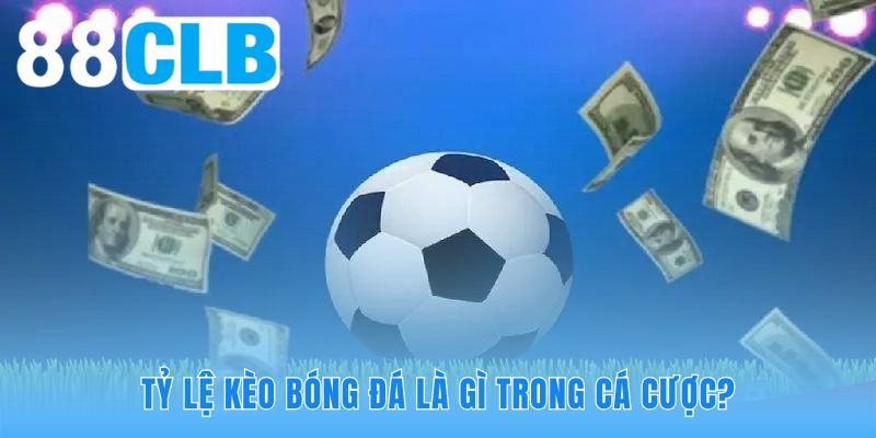 Tỷ lệ kèo bóng đá là gì phản ánh chính xác ngôn ngữ xác suất thống kê